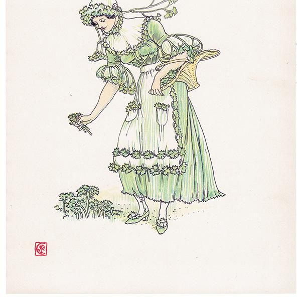 Parsleyʥѥ Flowers from Shakespeares Garden  륿쥤 1906ǯ  | 2024