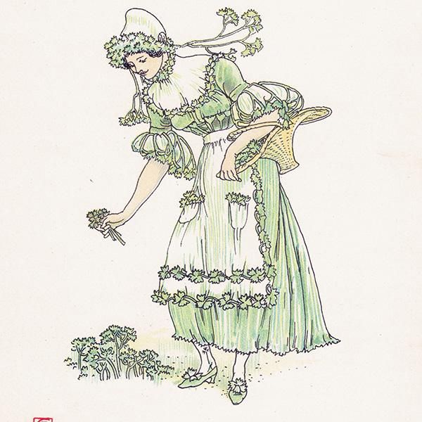 Parsleyʥѥ Flowers from Shakespeares Garden  륿쥤 1906ǯ  | 2024