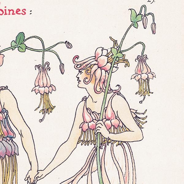 Columbinesʥޥ Flowers from Shakespeares Garden  륿쥤 1906ǯ  | 2025
