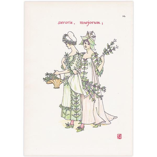 Savouryʥܥ꡼ˤ Marjoramʥޥ Flowers from Shakespeares Garden  륿쥤 1906ǯ  | 2026
