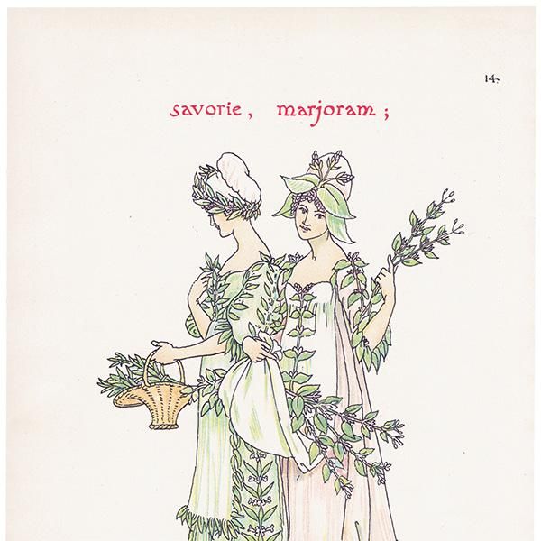 Savouryʥܥ꡼ˤ Marjoramʥޥ Flowers from Shakespeares Garden  륿쥤 1906ǯ  | 2026