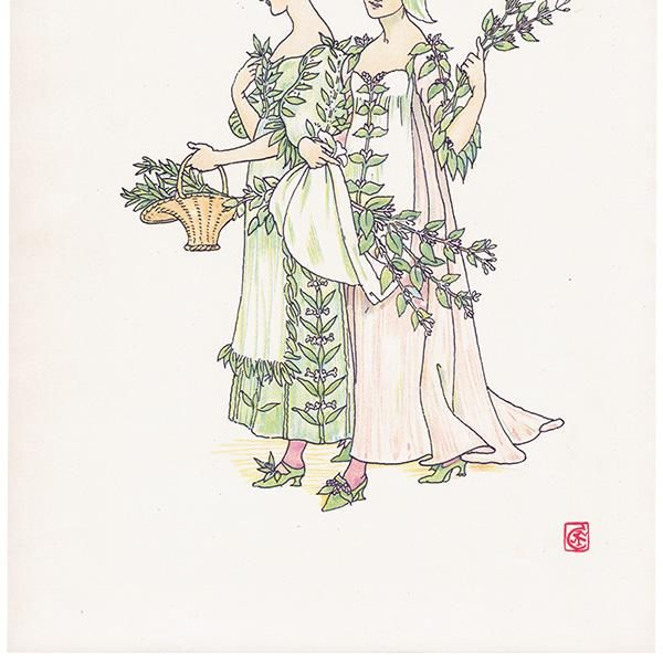 Savouryʥܥ꡼ˤ Marjoramʥޥ Flowers from Shakespeares Garden  륿쥤 1906ǯ  | 2026