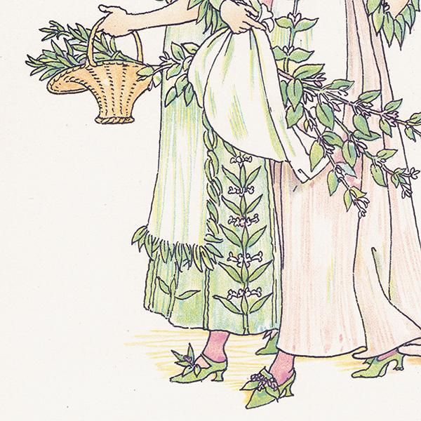 Savouryʥܥ꡼ˤ Marjoramʥޥ Flowers from Shakespeares Garden  륿쥤 1906ǯ  | 2026