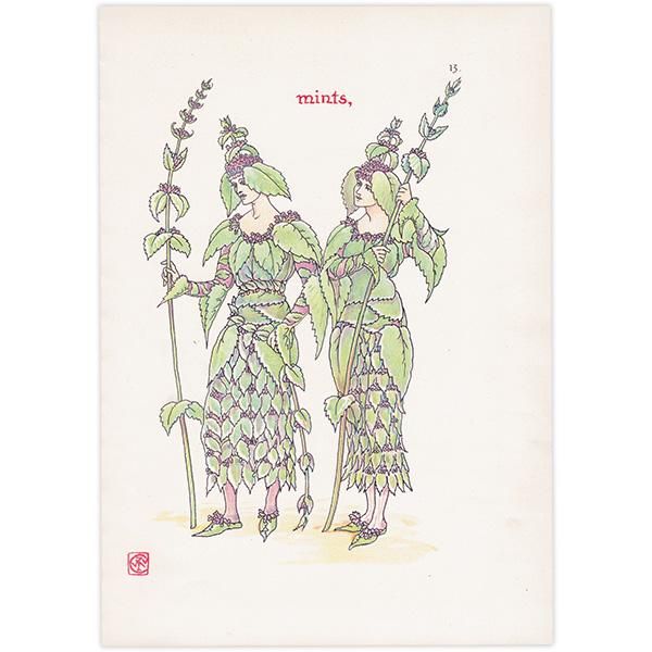 Mint（ミント） 「Flowers from Shakespeare's Garden」 ウォルター