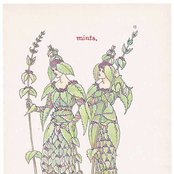 Mintʥߥȡ Flowers from Shakespeares Garden  륿쥤 1906ǯ  | 2027