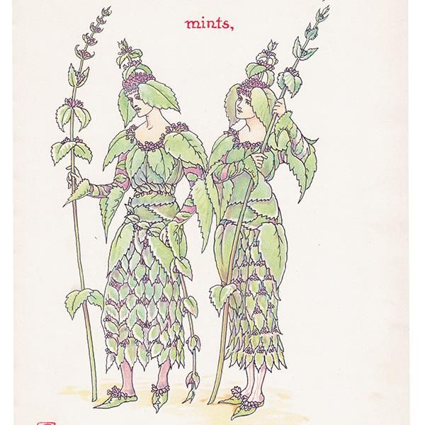 Mintʥߥȡ Flowers from Shakespeares Garden  륿쥤 1906ǯ  | 2027
