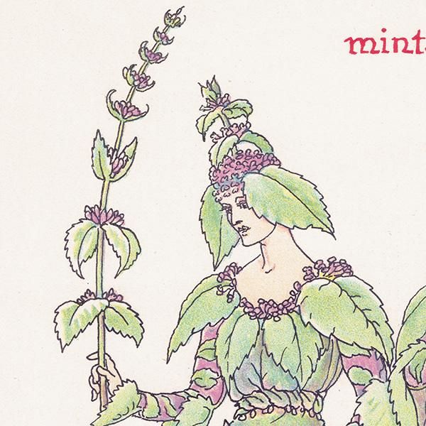 Mintʥߥȡ Flowers from Shakespeares Garden  륿쥤 1906ǯ  | 2027