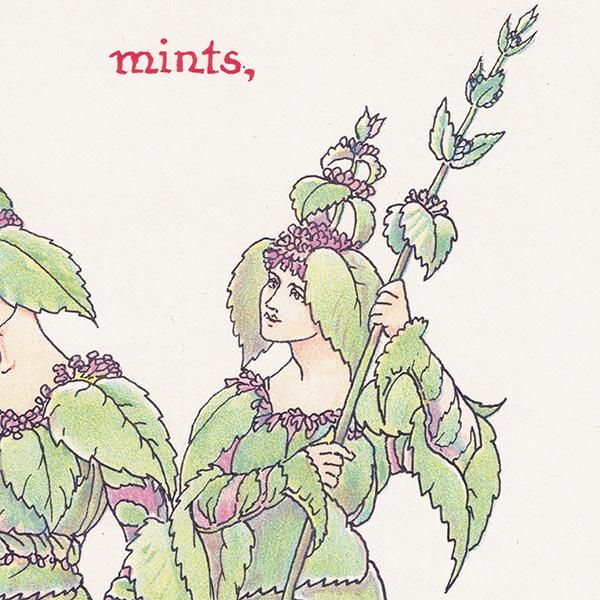 Mintʥߥȡ Flowers from Shakespeares Garden  륿쥤 1906ǯ  | 2027