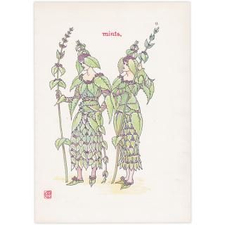 Mintʥߥȡ Flowers from Shakespeares Garden  륿쥤 1906ǯ  | 2027