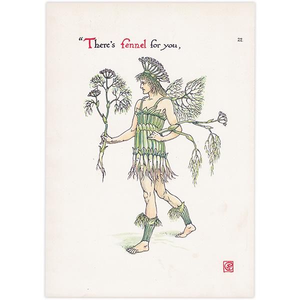 Fennelʥեͥ Flowers from Shakespeares Garden  륿쥤 1906ǯ  | 2028