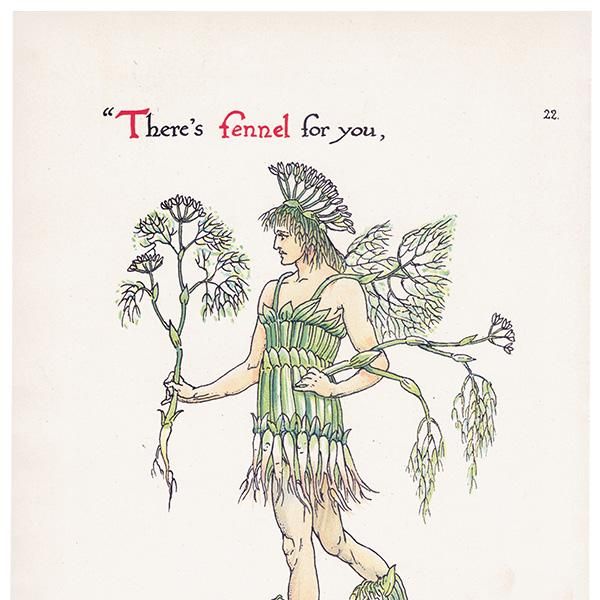 Fennelʥեͥ Flowers from Shakespeares Garden  륿쥤 1906ǯ  | 2028