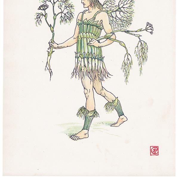 Fennelʥեͥ Flowers from Shakespeares Garden  륿쥤 1906ǯ  | 2028