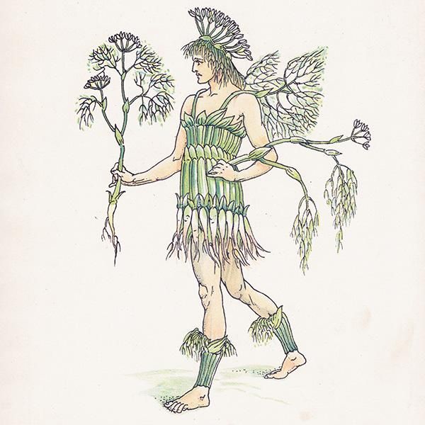 Fennelʥեͥ Flowers from Shakespeares Garden  륿쥤 1906ǯ  | 2028
