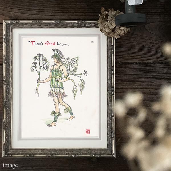 Fennelʥեͥ Flowers from Shakespeares Garden  륿쥤 1906ǯ  | 2028