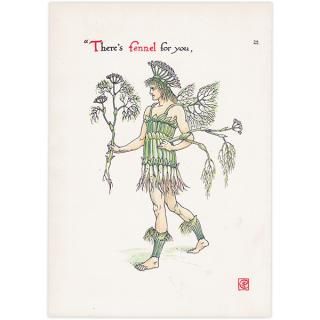 Fennelʥեͥ Flowers from Shakespeares Garden  륿쥤 1906ǯ  | 2028
