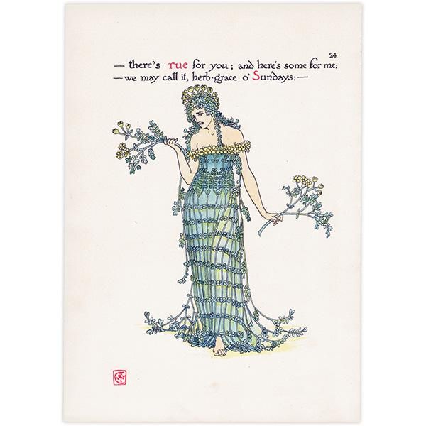 Rueʥ롼 / Herb-grace Flowers from Shakespeares Garden  륿쥤 1906ǯ  | 2029