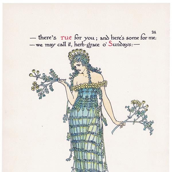 Rueʥ롼 / Herb-grace Flowers from Shakespeares Garden  륿쥤 1906ǯ  | 2029