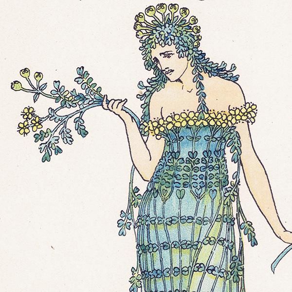 Rueʥ롼 / Herb-grace Flowers from Shakespeares Garden  륿쥤 1906ǯ  | 2029