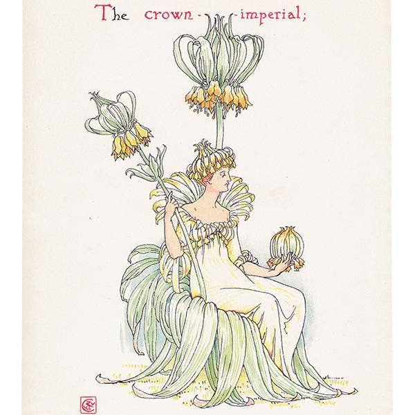 饦󡦥ڥꥢCrown Imperial / 襦饯 Flowers from Shakespeares Garden  륿쥤 1906ǯ  | 2030