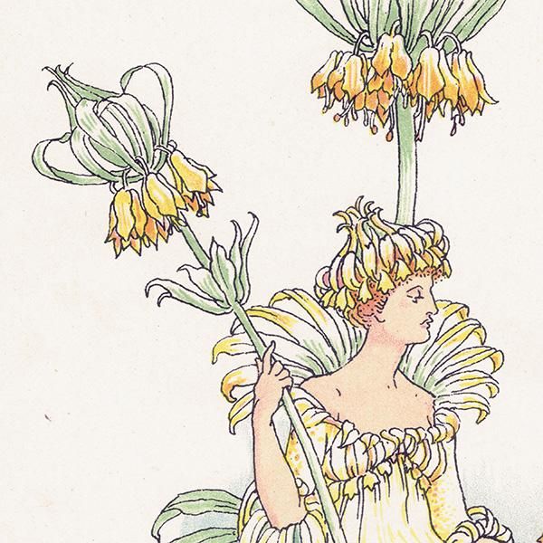 饦󡦥ڥꥢCrown Imperial / 襦饯 Flowers from Shakespeares Garden  륿쥤 1906ǯ  | 2030