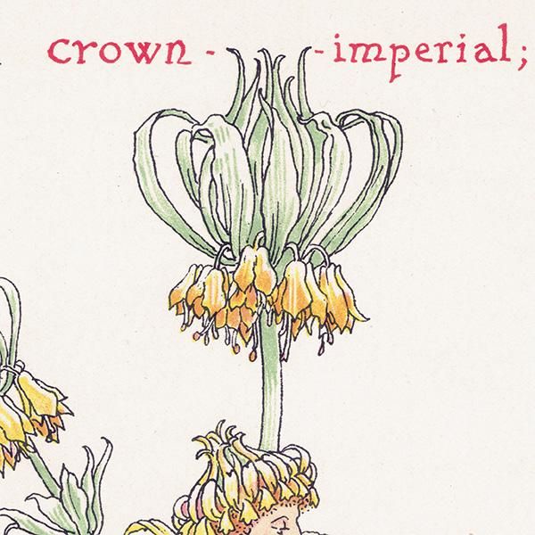 饦󡦥ڥꥢCrown Imperial / 襦饯 Flowers from Shakespeares Garden  륿쥤 1906ǯ  | 2030