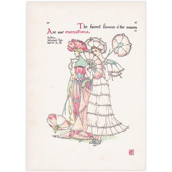 ͡carnations Flowers from Shakespeares Garden  륿쥤 1906ǯ  | 2032