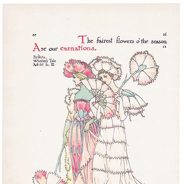 ͡carnations Flowers from Shakespeares Garden  륿쥤 1906ǯ  | 2032
