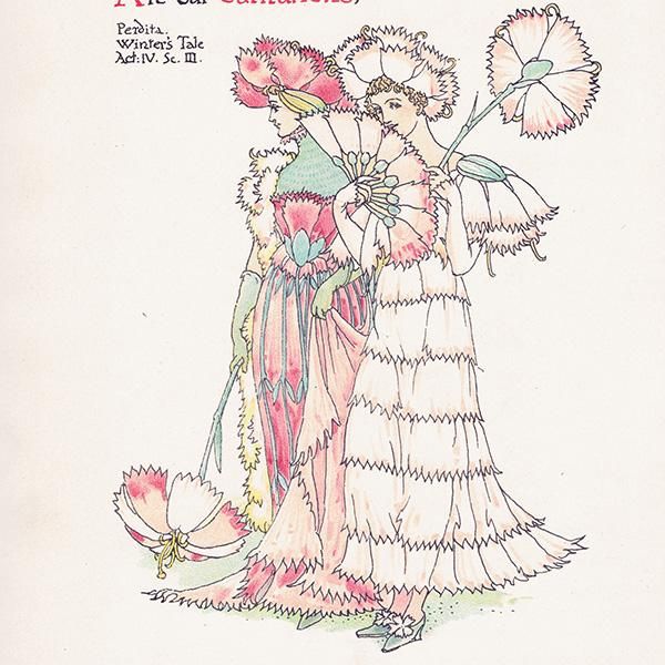 ͡carnations Flowers from Shakespeares Garden  륿쥤 1906ǯ  | 2032