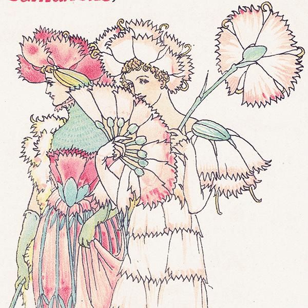 ͡carnations Flowers from Shakespeares Garden  륿쥤 1906ǯ  | 2032
