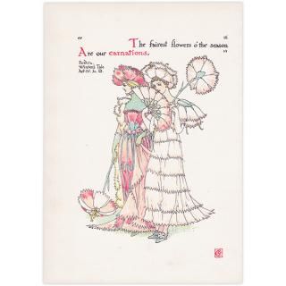 ͡carnations Flowers from Shakespeares Garden  륿쥤 1906ǯ  | 2032