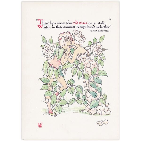 Red Roses֤Х Flowers from Shakespeares Garden  륿쥤 1906ǯ  | 2034