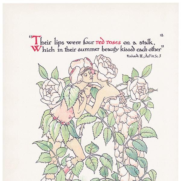 Red Roses֤Х Flowers from Shakespeares Garden  륿쥤 1906ǯ  | 2034
