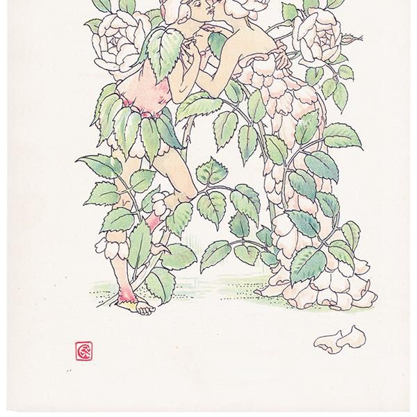 Red Roses֤Х Flowers from Shakespeares Garden  륿쥤 1906ǯ  | 2034