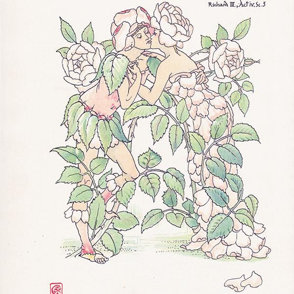 Red Roses֤Х Flowers from Shakespeares Garden  륿쥤 1906ǯ  | 2034