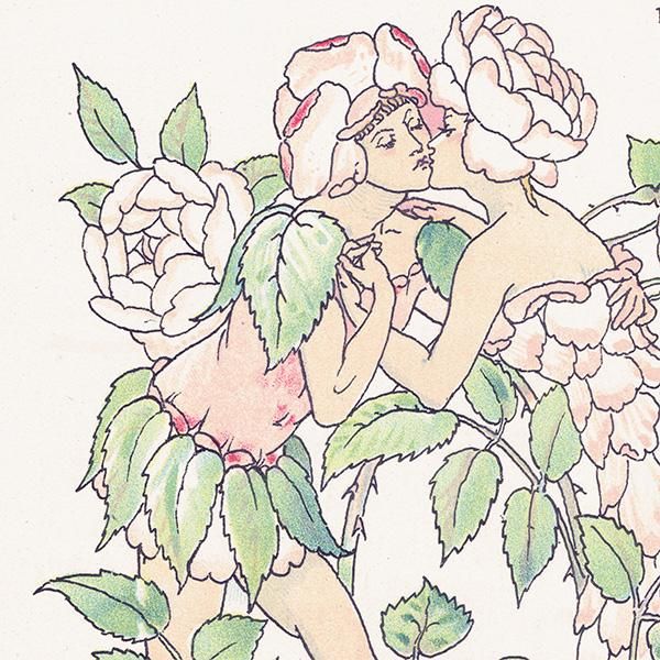 Red Roses֤Х Flowers from Shakespeares Garden  륿쥤 1906ǯ  | 2034