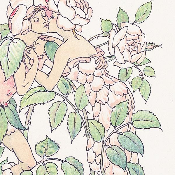 Red Roses֤Х Flowers from Shakespeares Garden  륿쥤 1906ǯ  | 2034