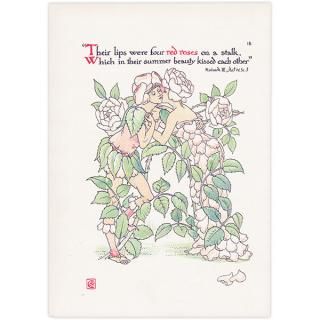 Red Roses֤Х Flowers from Shakespeares Garden  륿쥤 1906ǯ  | 2034