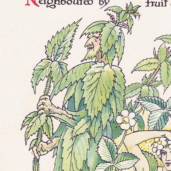 Strawberry & Nettleʥȥͥȥ Flowers from Shakespeares Garden  륿쥤 1906ǯ  | 2036