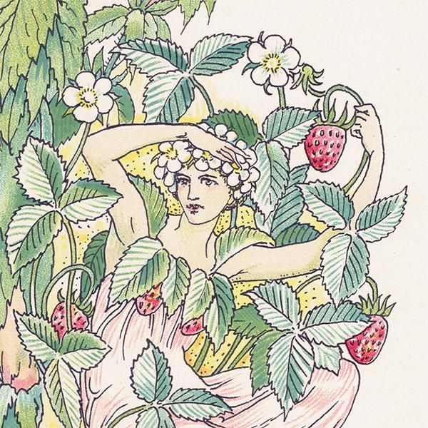 Strawberry & Nettleʥȥͥȥ Flowers from Shakespeares Garden  륿쥤 1906ǯ  | 2036