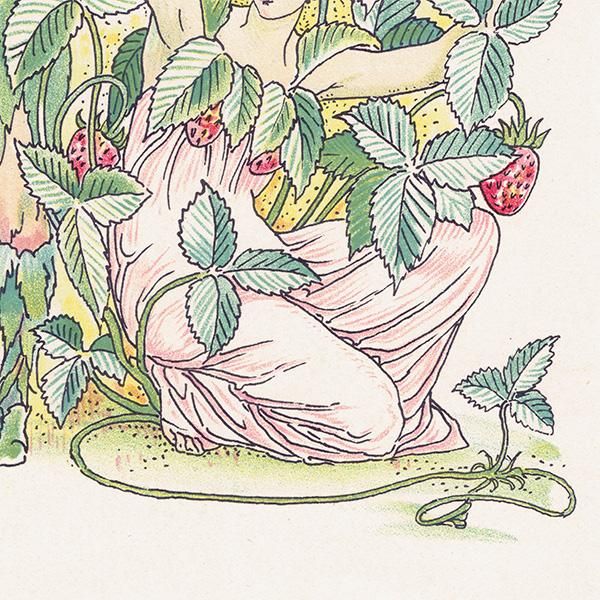 Strawberry & Nettleʥȥͥȥ Flowers from Shakespeares Garden  륿쥤 1906ǯ  | 2036