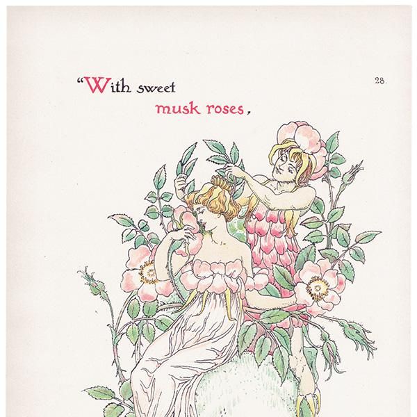 Musk Rosesʥॹ Flowers from Shakespeares Garden  륿쥤 1906ǯ  | 2038