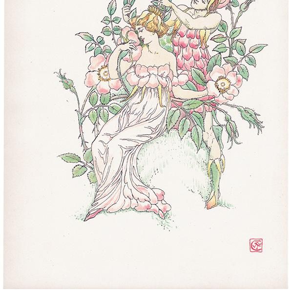 Musk Rosesʥॹ Flowers from Shakespeares Garden  륿쥤 1906ǯ  | 2038