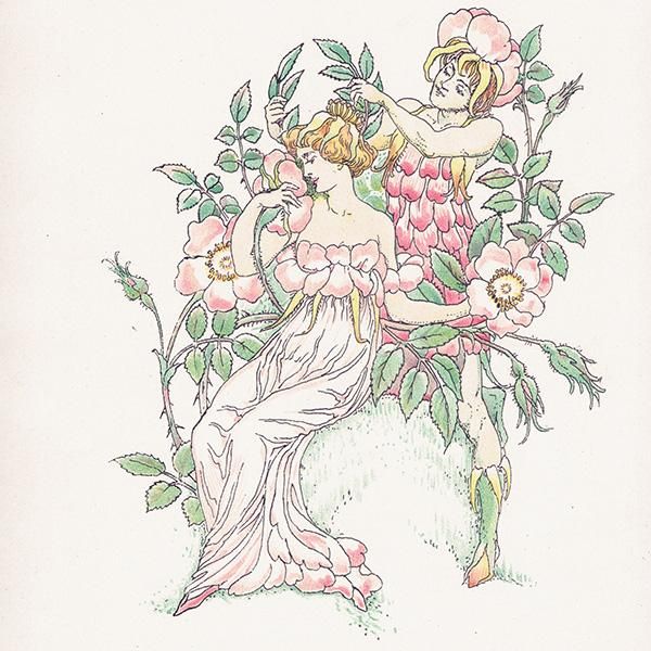 Musk Rosesʥॹ Flowers from Shakespeares Garden  륿쥤 1906ǯ  | 2038