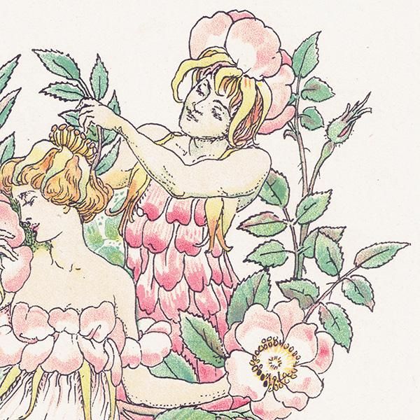 Musk Rosesʥॹ Flowers from Shakespeares Garden  륿쥤 1906ǯ  | 2038