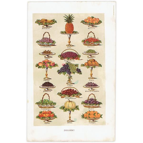 ߥӡȥβܤ DESSERT ǥ 1899ǯ ꥹƥץ 0251