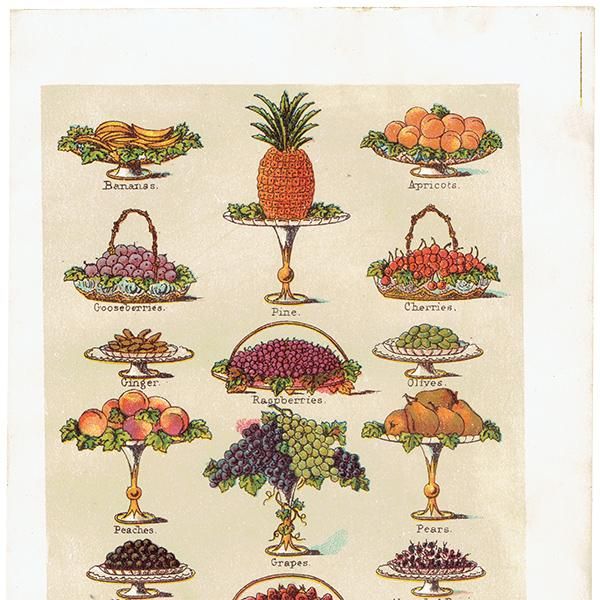 ߥӡȥβܤ DESSERT ǥ 1899ǯ ꥹƥץ 0251