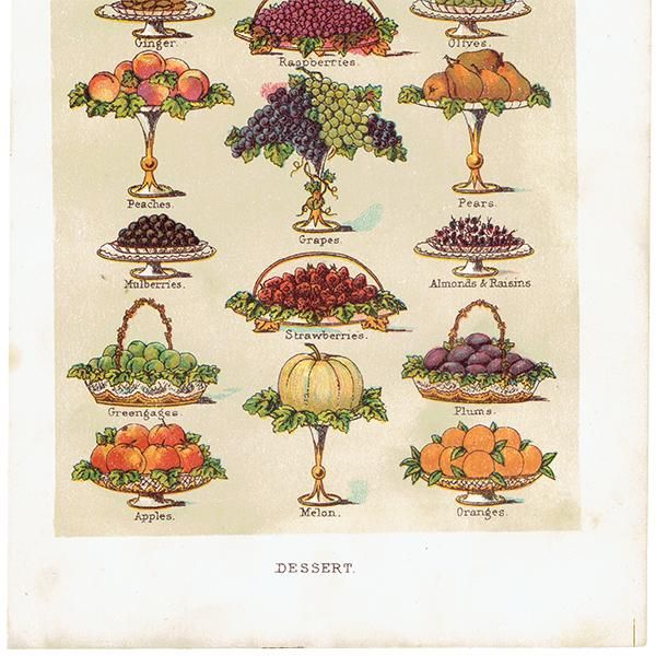 ߥӡȥβܤ DESSERT ǥ 1899ǯ ꥹƥץ 0251