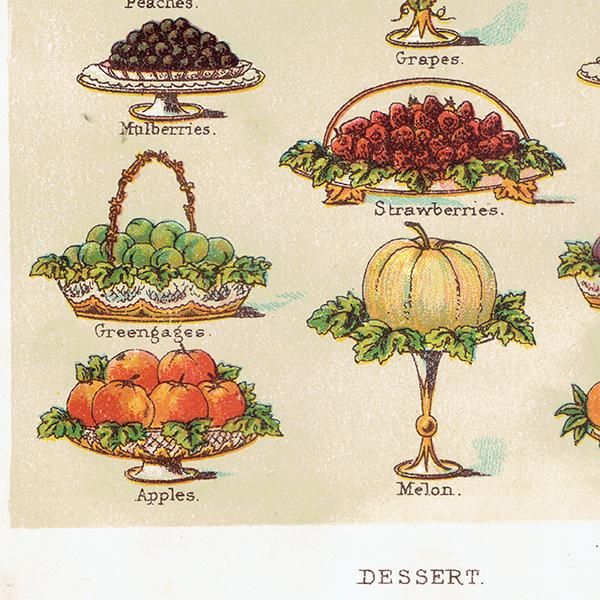 ߥӡȥβܤ DESSERT ǥ 1899ǯ ꥹƥץ 0251