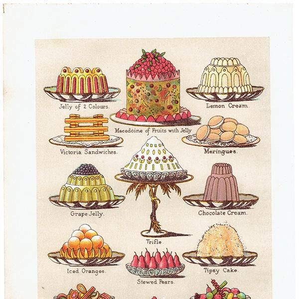 ߥӡȥβܤ JELLIES,CREAMS and SWEET DISHES ꡼ʤɥ 1899ǯ ꥹƥץ 0253