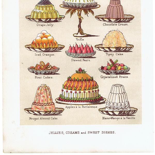 ߥӡȥβܤ JELLIES,CREAMS and SWEET DISHES ꡼ʤɥ 1899ǯ ꥹƥץ 0253
